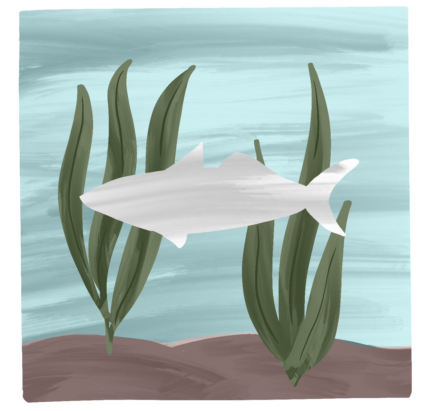 Ocean Iron